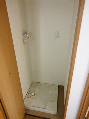 Other. Indoor Laundry Storage! 