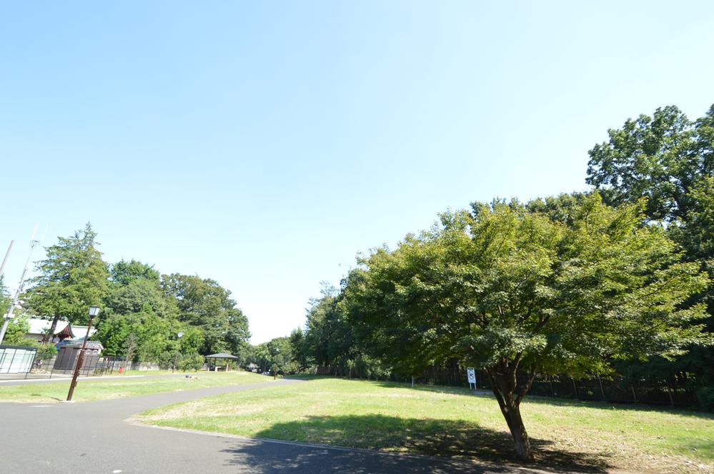 park. 1000m to Roka park