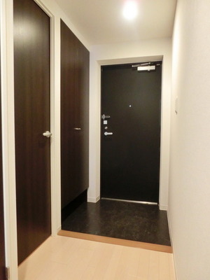 Entrance. Entrance hall. Adopted dimple key. 