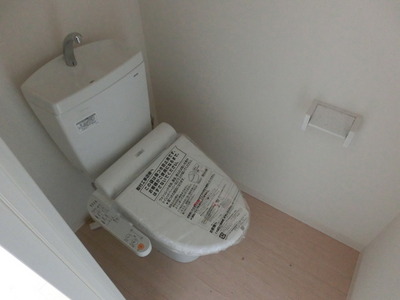 Toilet. Cleaning function toilet