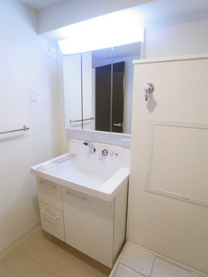 Washroom. Shampoo dresser