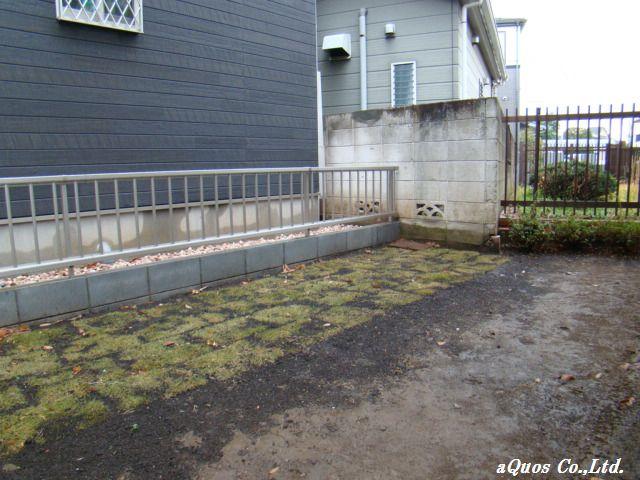 Garden. Local (12 May 2013) Shooting