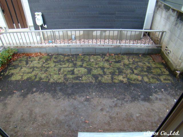 Garden. Local (12 May 2013) Shooting