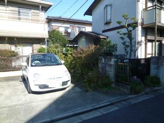 Local land photo. appearance