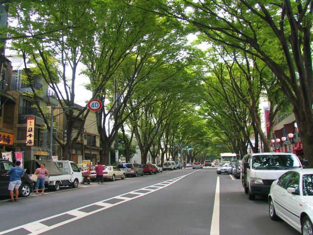 station. Asagaya Namiki of 560m zelkova to Nakasugi street in front of the station is wonderful