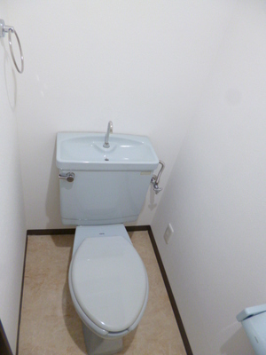 Toilet. ☆ Clean toilet ☆