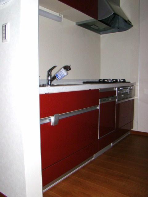 Kitchen. Indoor (12 May 2012) shooting