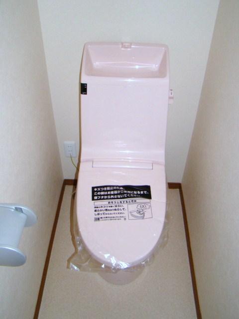 Toilet. Indoor (12 May 2012) shooting