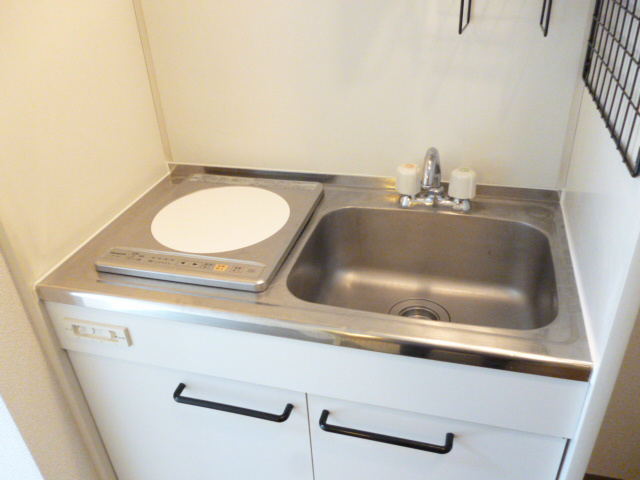 Kitchen. IH cooking heater with