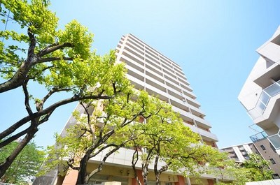 Building appearance. Sunny