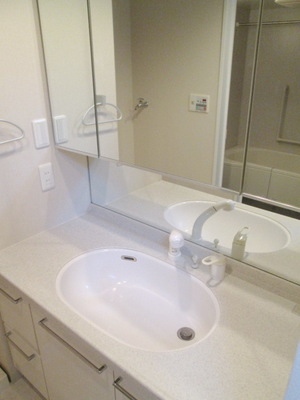 Washroom. Wash basin