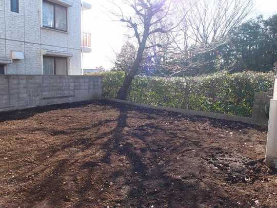 Local land photo. appearance