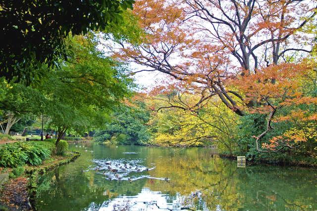 park. Good environment to 720m natural rich parenting until Wada drilling park