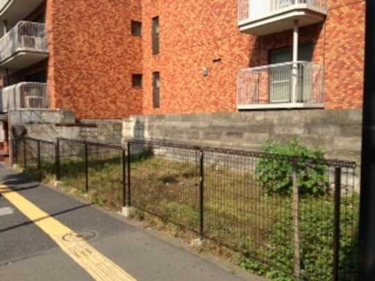 Local land photo. appearance