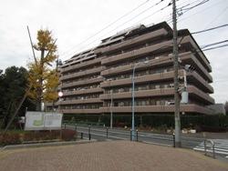Local appearance photo. Per site (December 2013) shooting south Momoi Harappa Park, Landscape ・ It is both good per yang.