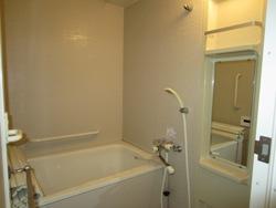 Bathroom. Indoor (12 May 2013) Shooting Bathroom, It is with additional heating function.