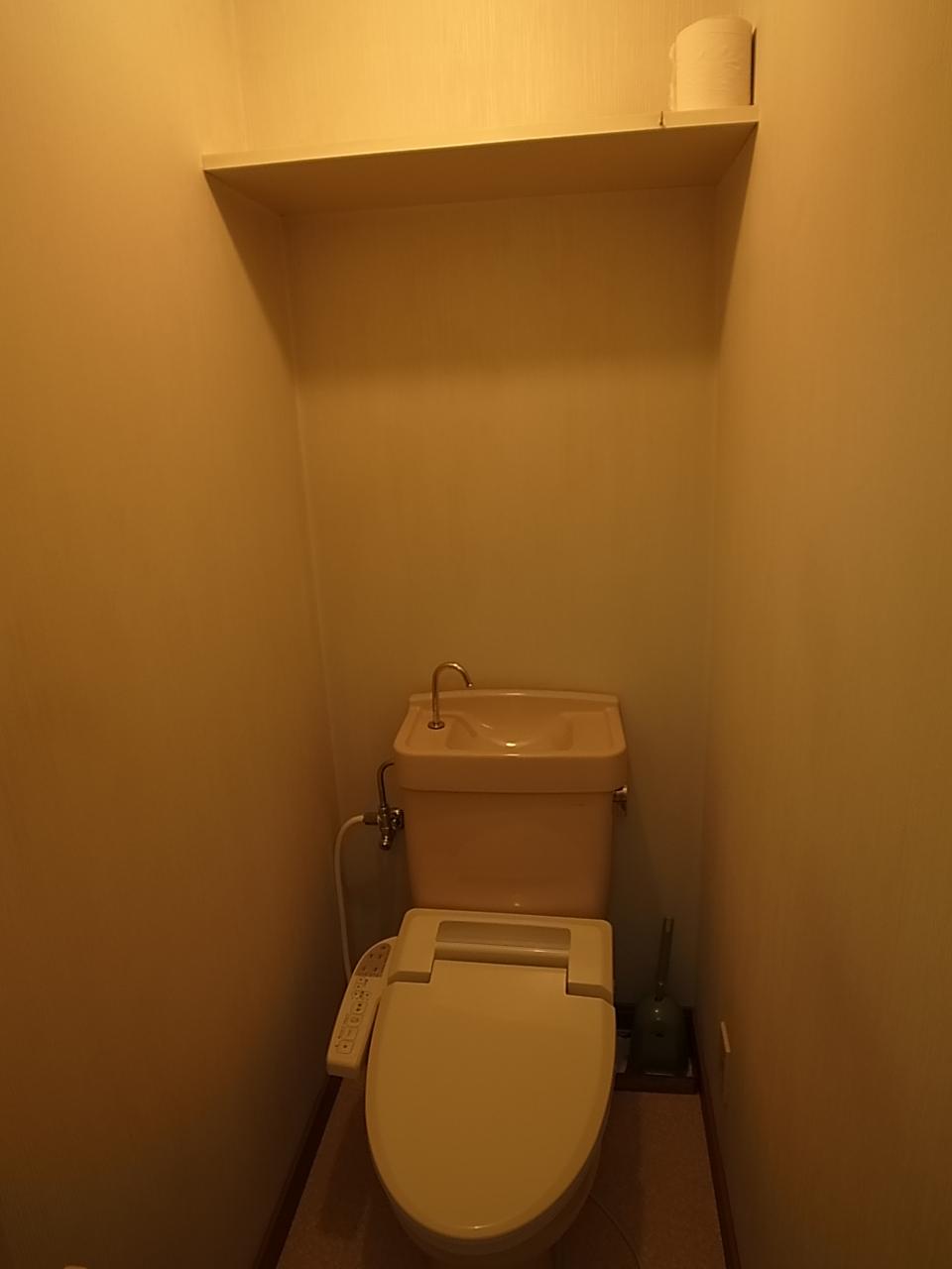 Toilet. Indoor (11 May 2013) Shooting