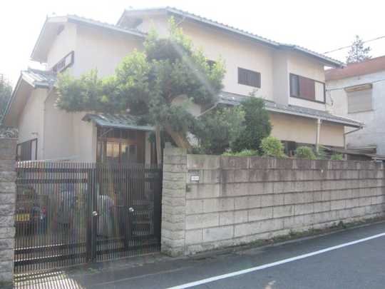 Local land photo. Appearance 1