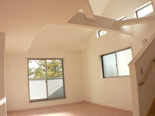 Living. Atrium ceiling of the living room (12 May 2013) Shooting