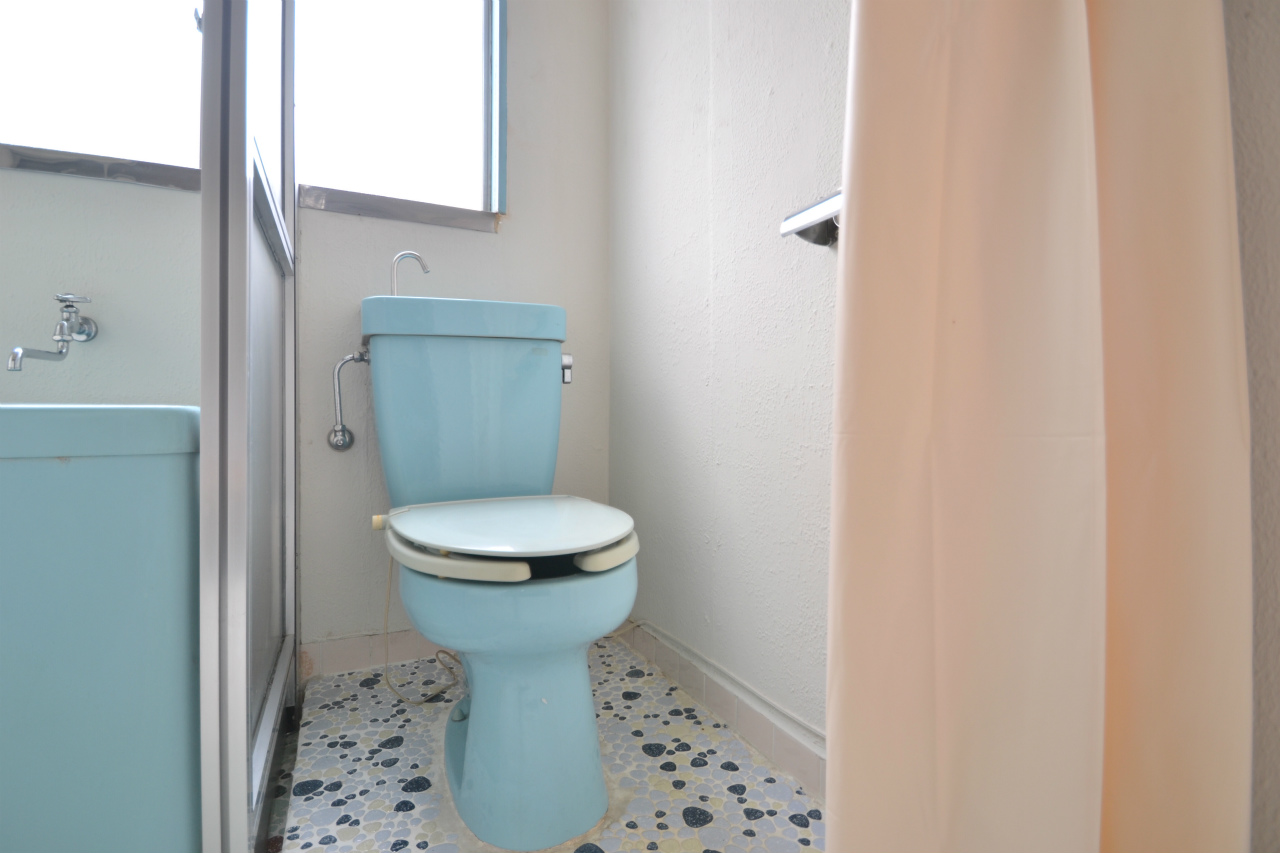 Toilet. When bathing is partition in the curtain.