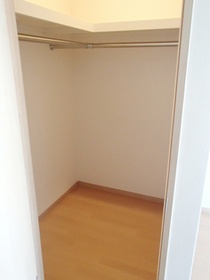 Other. Storage capacity abundant walk-in closet