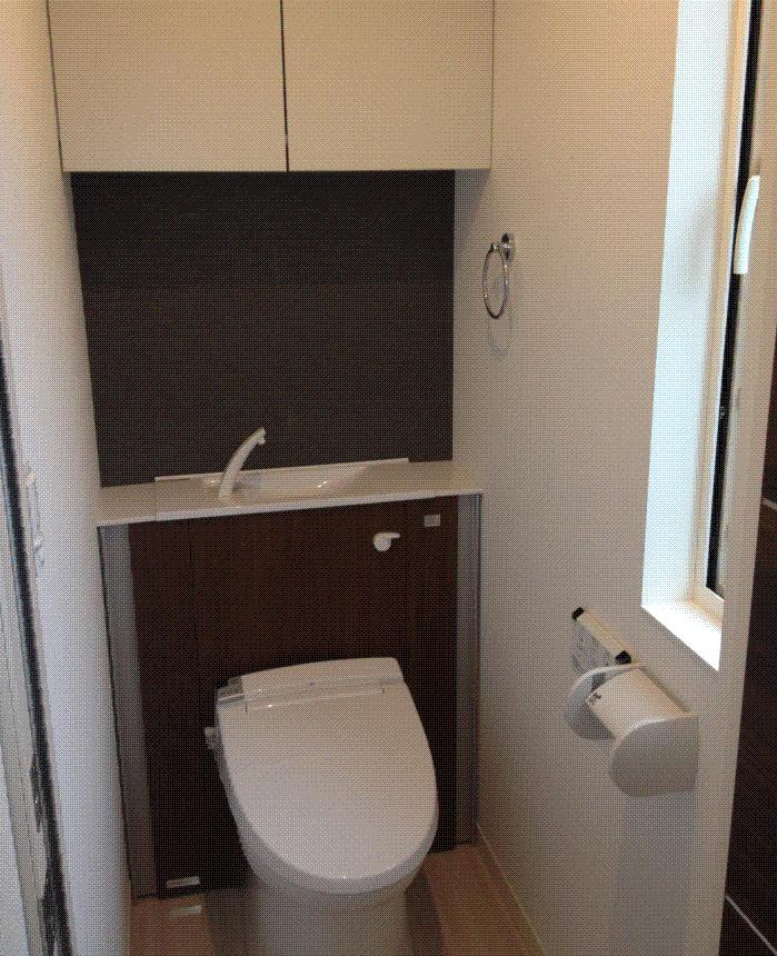 Toilet. Indoor (10 May 2013) Shooting