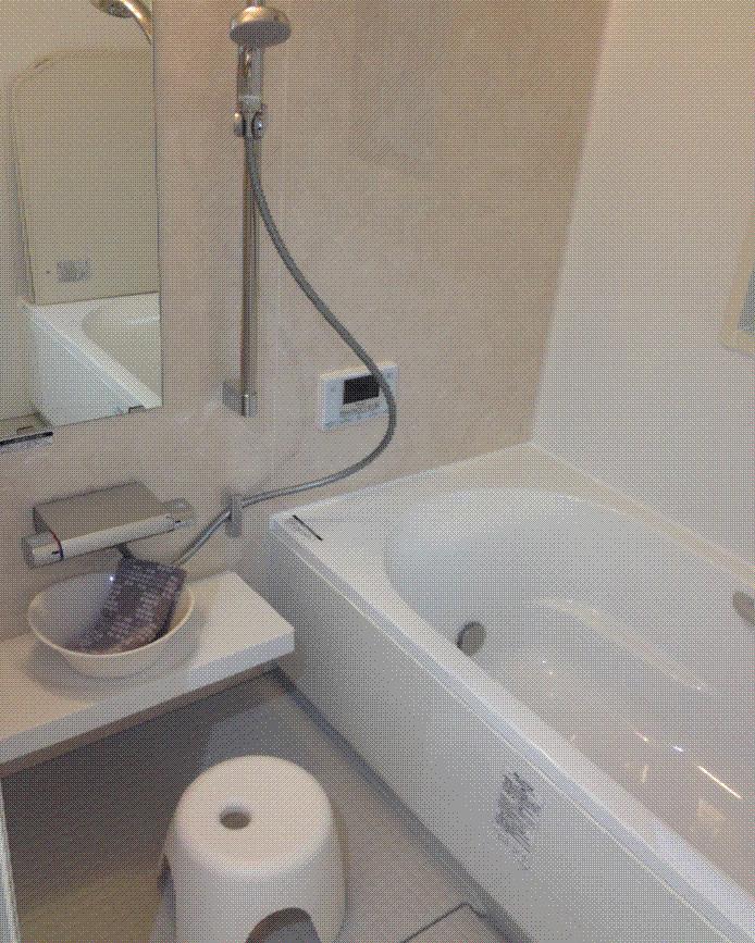 Bathroom. Indoor (10 May 2013) Shooting