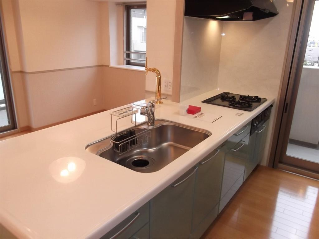 Kitchen. It is with disposer!