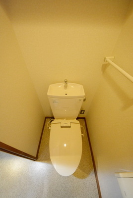 Toilet. Toilet