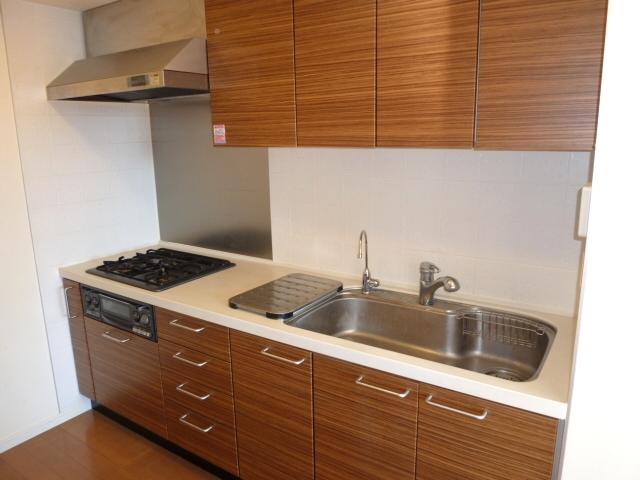 Kitchen. System Kitchen (December 2013) Shooting