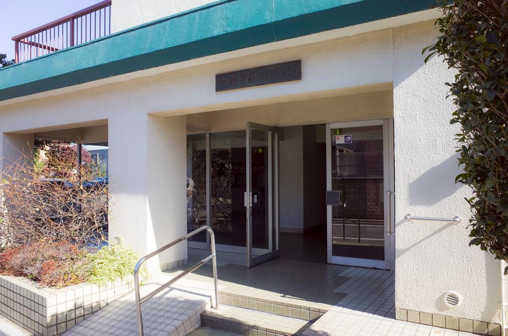 Entrance. Common areas