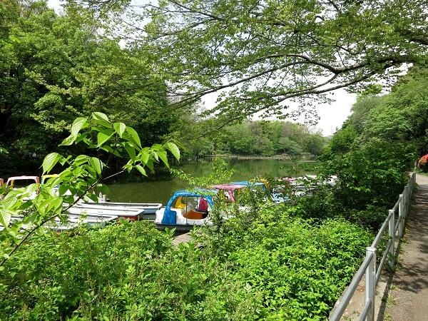 park. 470m until Zenpukuji park