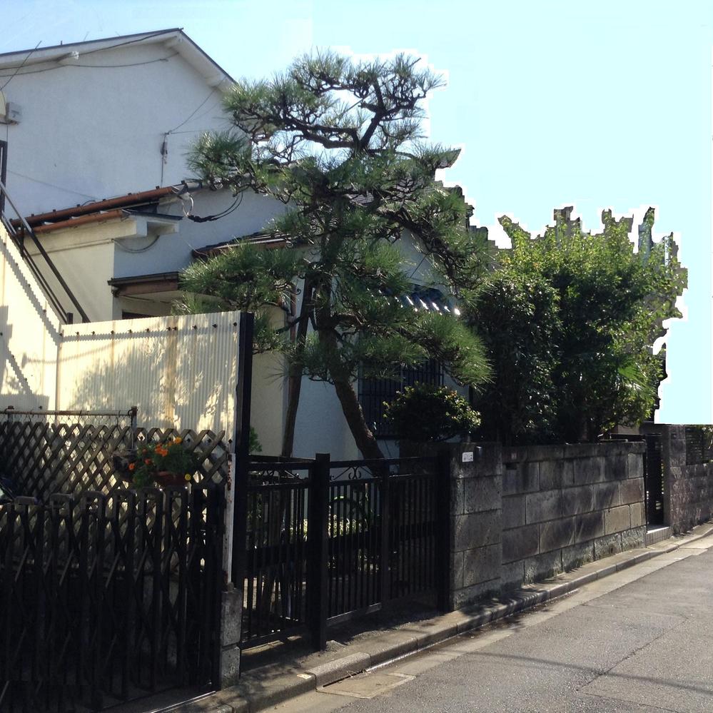 Local photos, including front road. Local (10 May 2013) Shooting