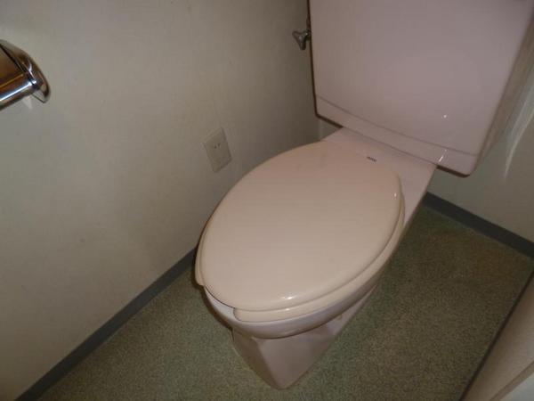 Toilet. But please use clean