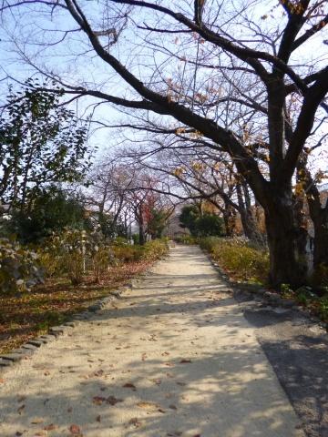 Other local. Tamagawa second park