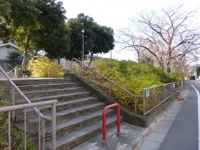 Other local. Tamagawa second park