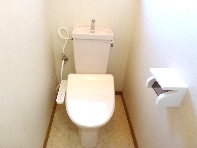 Toilet. It is a new warm water washing toilet seat.