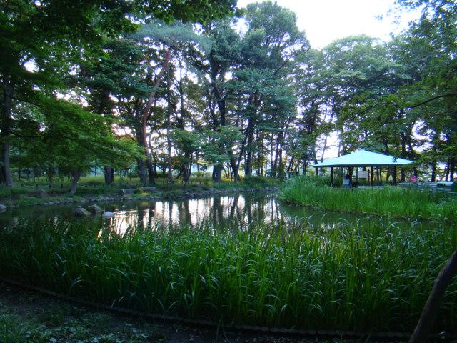 park. 20m to Tsukayama park