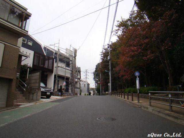 Local photos, including front road. Local (11 May 2013) Shooting