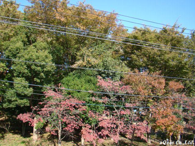 View photos from the dwelling unit. Local (11 May 2013) Shooting