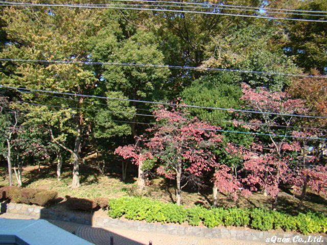 View photos from the dwelling unit. View from the site (November 2013) Shooting