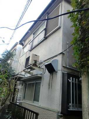 Local land photo. Appearance (1)