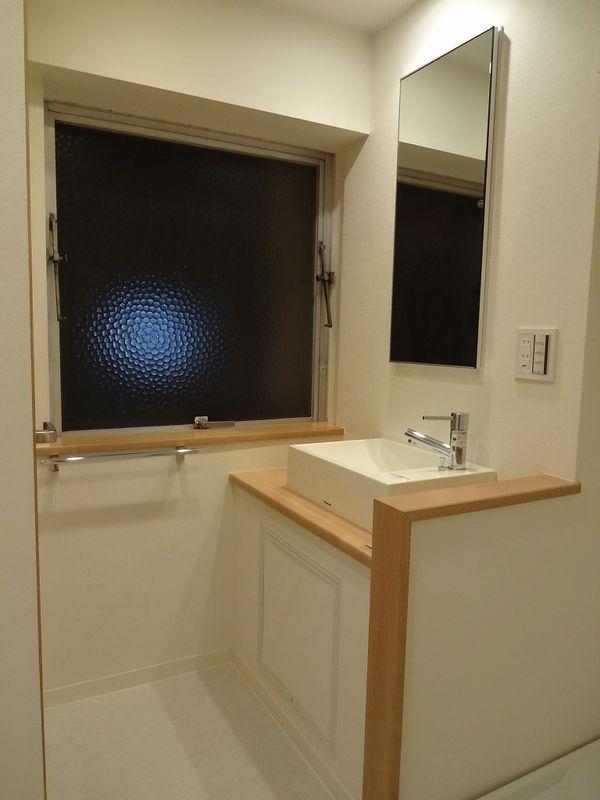 Wash basin, toilet. Bathroom vanity