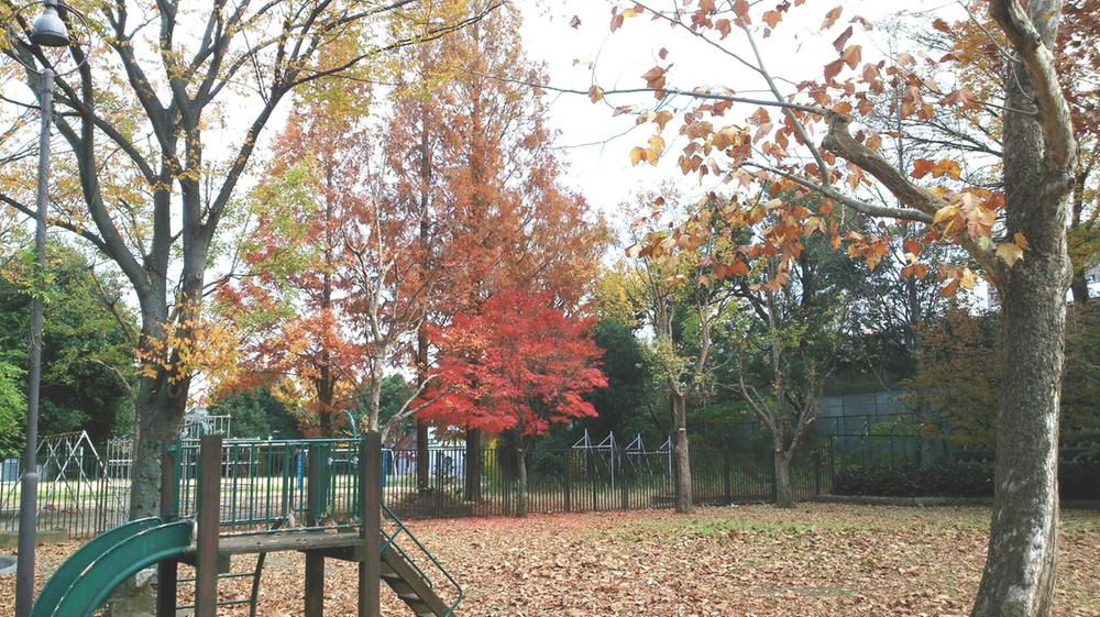 park. 300m to Sunflower Park