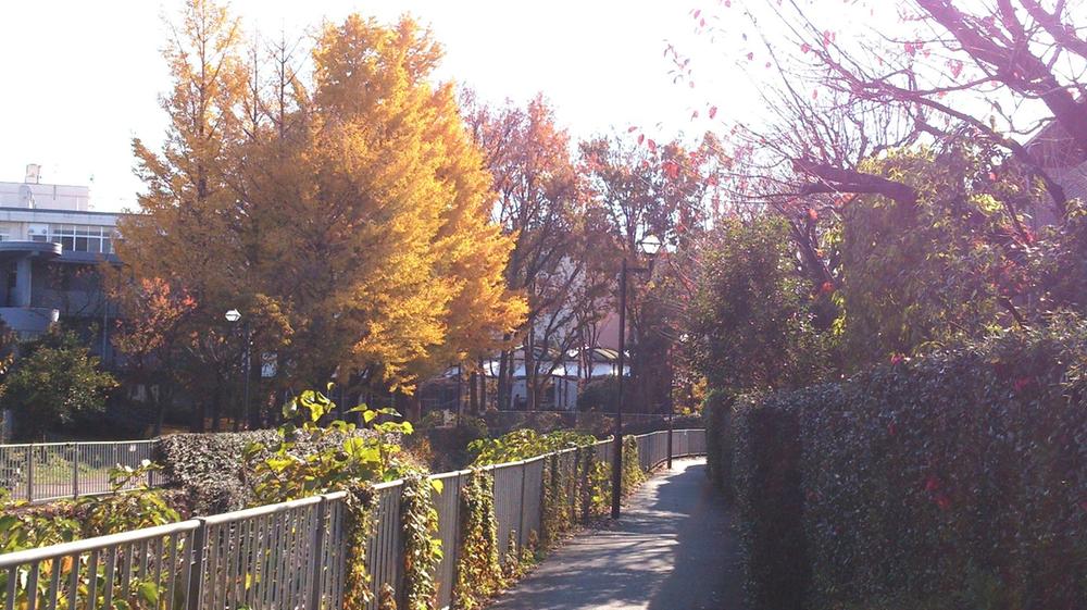Other Environmental Photo. Kanda River promenade