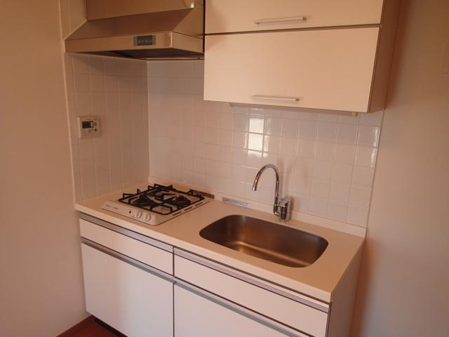 Kitchen. Indoor (10 May 2013) Shooting