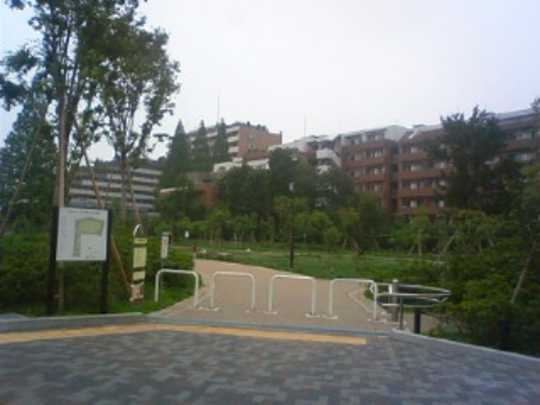 Local land photo. Municipal Harappa park (about than local 360m)