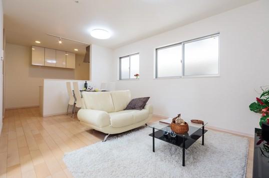 Same specifications photos (living)