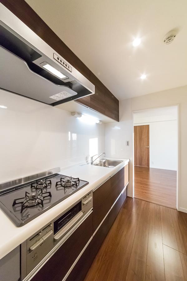 Kitchen. Cleanup party systems kitchen new exchange (artificial marble top)