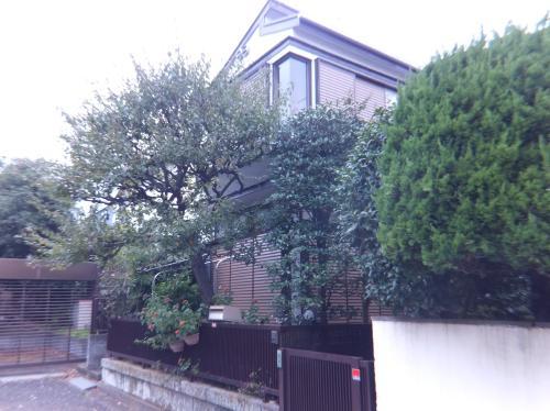 Local land photo. Local (11 May 2013) Shooting